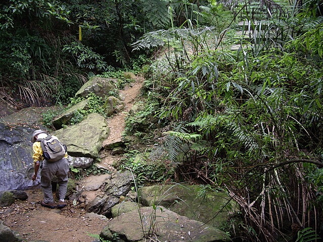 頂子寮山、五分山