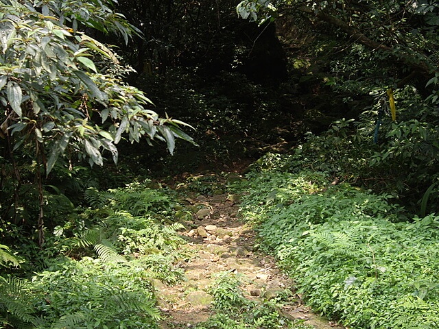 頂子寮山、五分山