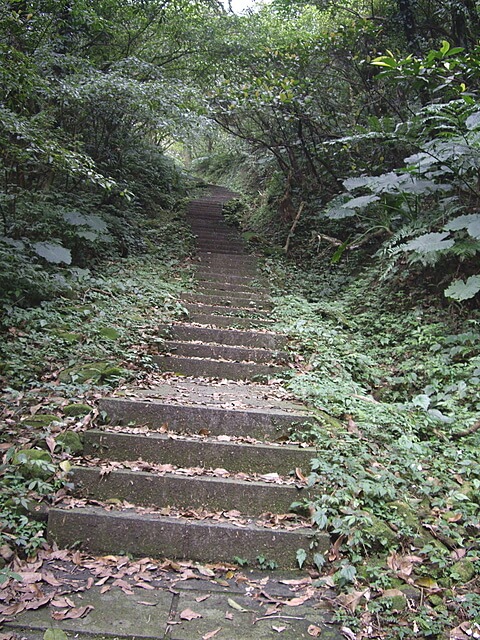 頂子寮山、五分山