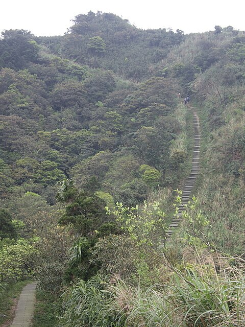 頂子寮山、五分山