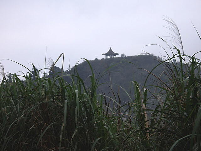 頂子寮山、五分山