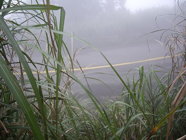 五分山產業道路