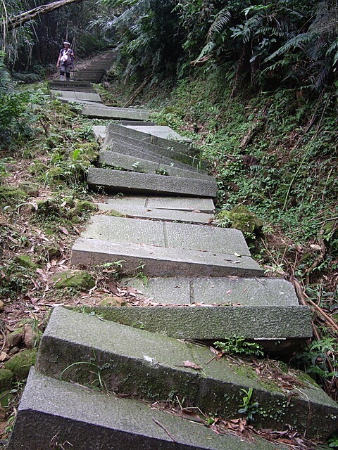 頂子寮山、五分山