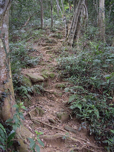 赤柯山、赤柯山南峰、東獅頭山