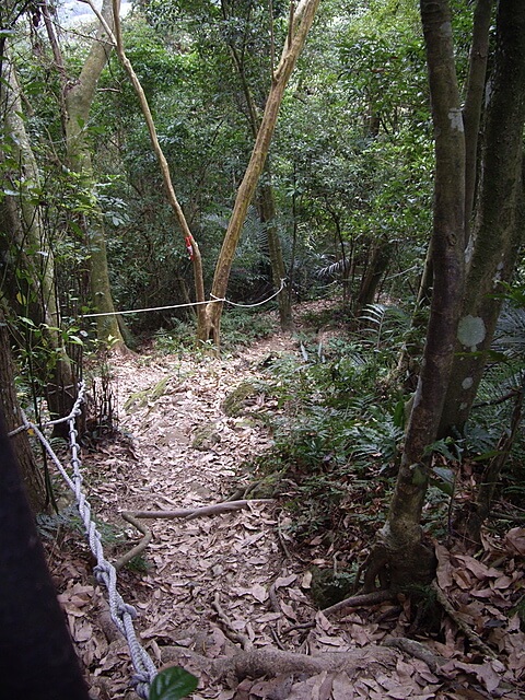 赤柯山、赤柯山南峰、東獅頭山