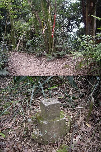 赤柯山、赤柯山南峰、東獅頭山