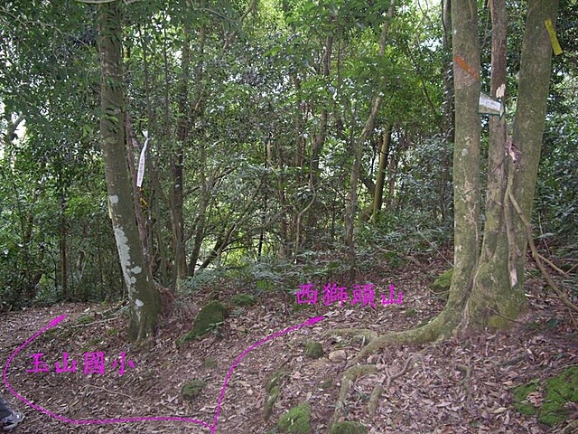 赤柯山、赤柯山南峰、東獅頭山