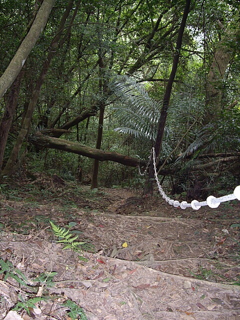 赤柯山、赤柯山南峰、東獅頭山