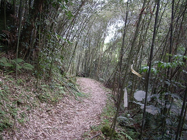 赤柯山、赤柯山南峰、東獅頭山