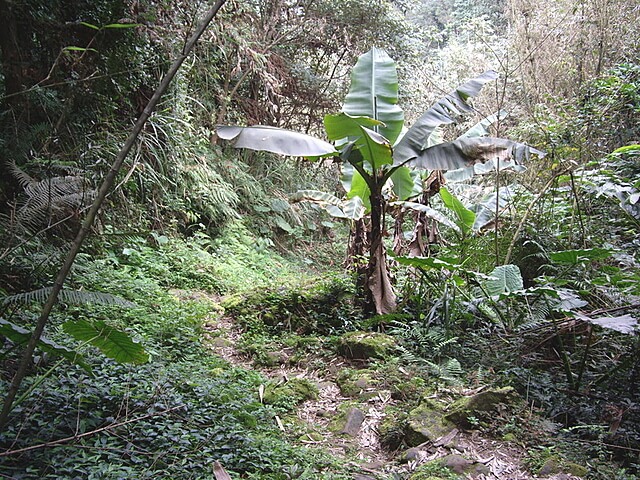 赤柯山、赤柯山南峰、東獅頭山