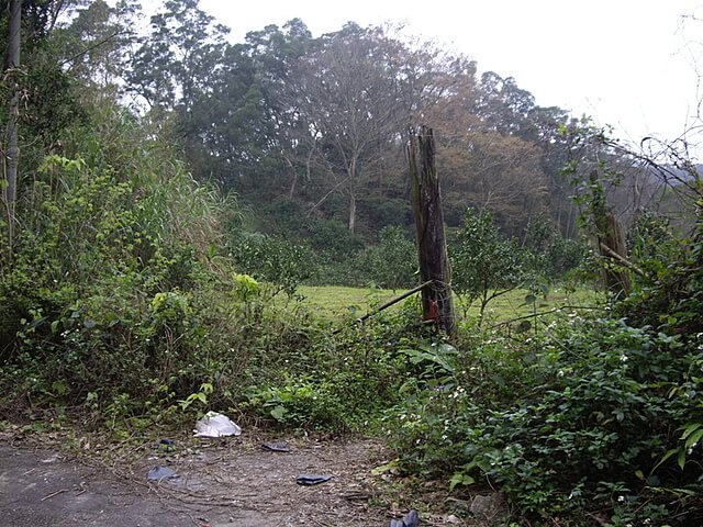 【苗栗獅潭】紙湖古道、三字坑山、三尖山、三尖山東北峰、新莊山