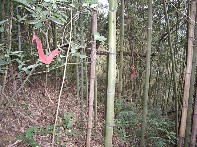 紙湖古道、三字坑山、三尖山、三尖山東北峰、新莊山