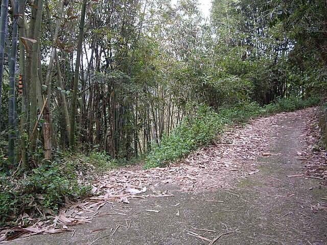 紙湖古道、三字坑山、三尖山、三尖山東北峰、新莊山