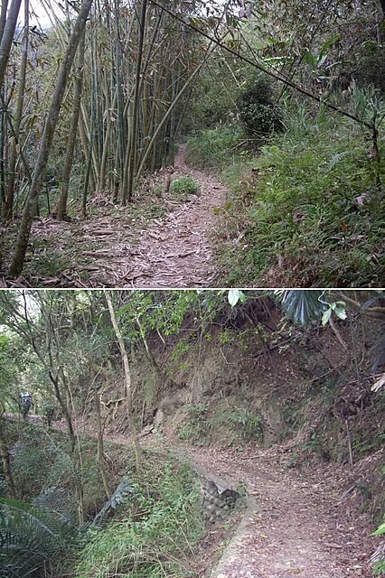 紙湖古道、三字坑山、三尖山、三尖山東北峰、新莊山