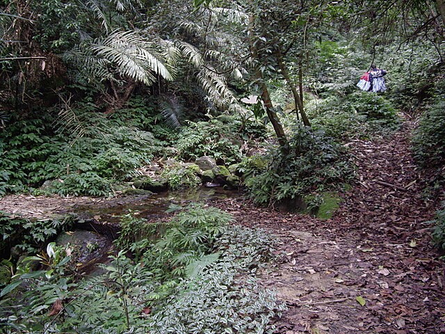 紙湖古道、三字坑山、三尖山、三尖山東北峰、新莊山