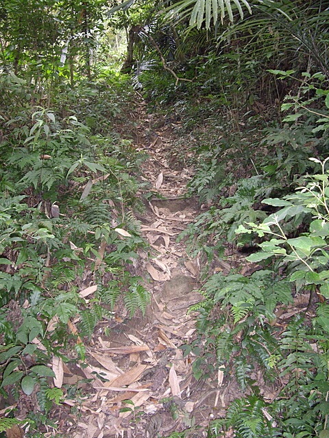 紙湖古道、三字坑山、三尖山、三尖山東北峰、新莊山