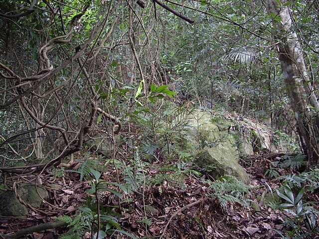 紙湖古道、三字坑山、三尖山、三尖山東北峰、新莊山