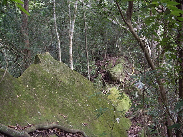 紙湖古道、三字坑山、三尖山、三尖山東北峰、新莊山