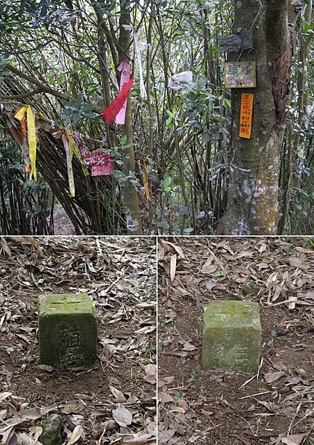 紙湖古道、三字坑山、三尖山、三尖山東北峰、新莊山