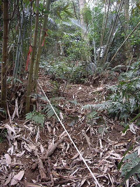 紙湖古道、三字坑山、三尖山、三尖山東北峰、新莊山