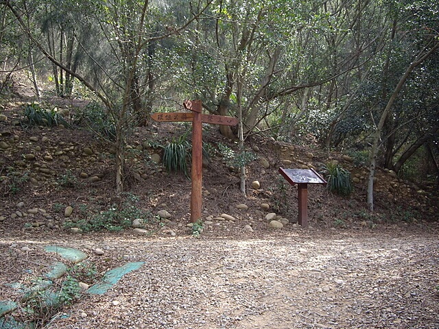 大肚鄉環保公園登山步道