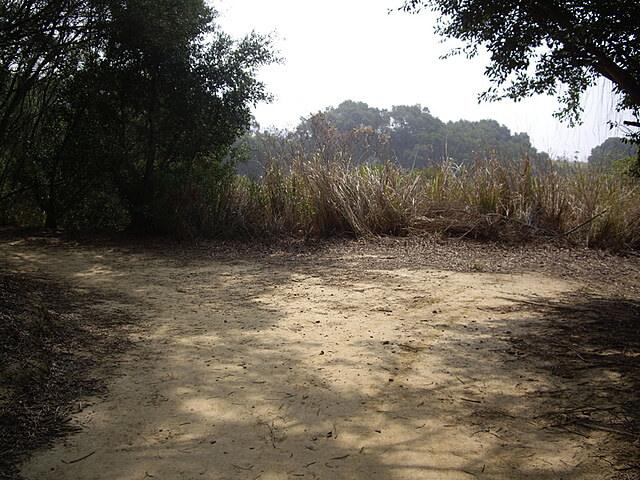 大肚鄉環保公園登山步道