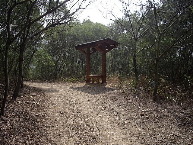 大肚鄉環保公園登山步道