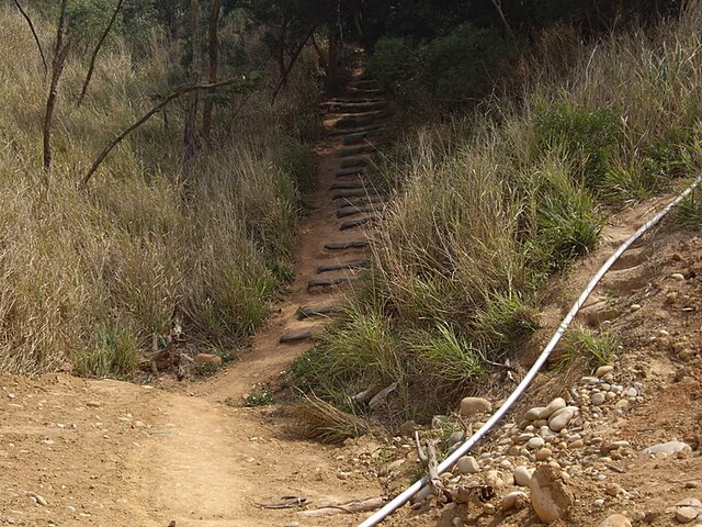 大肚鄉環保公園登山步道