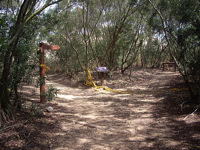 大肚鄉環保公園登山步道