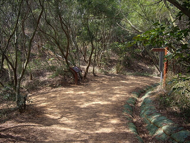 大肚鄉環保公園登山步道