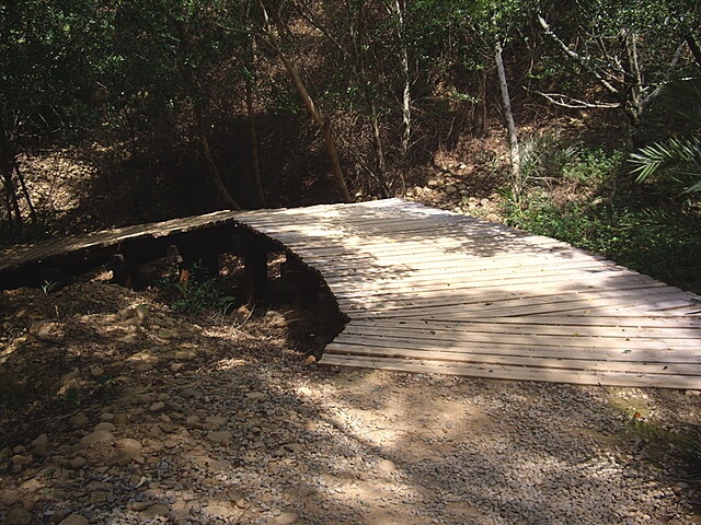 大肚鄉環保公園登山步道