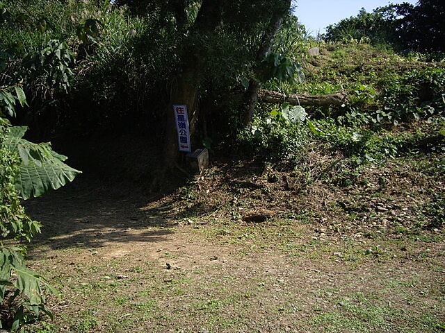 七星山健康步道、七星嶺