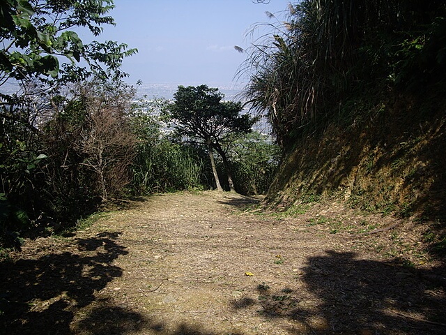 七星山健康步道、七星嶺