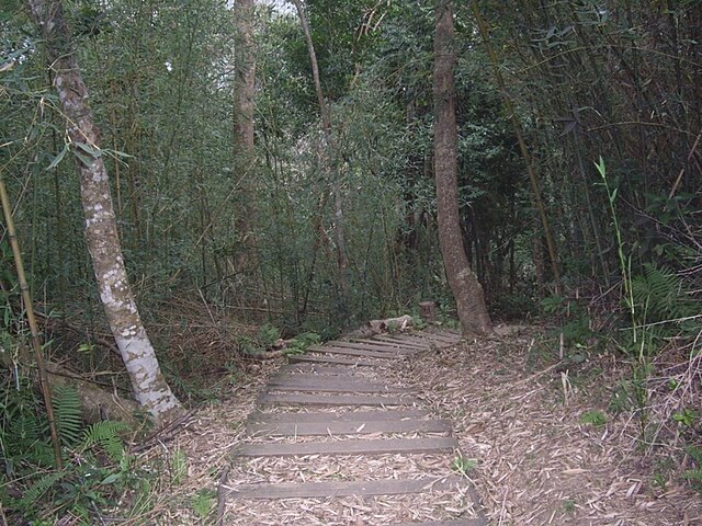 朝陽國家步道、南澳龜山