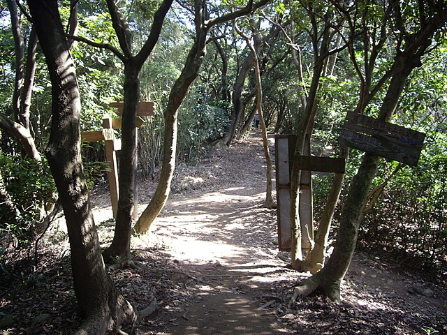 羊稠坑森林步道、拔崁腳山、尖山、羊稠坑山、土地公頭山