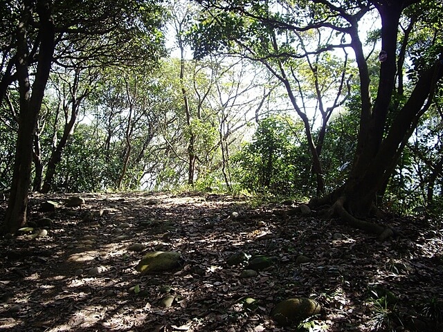 羊稠坑森林步道、拔崁腳山、尖山、羊稠坑山、土地公頭山