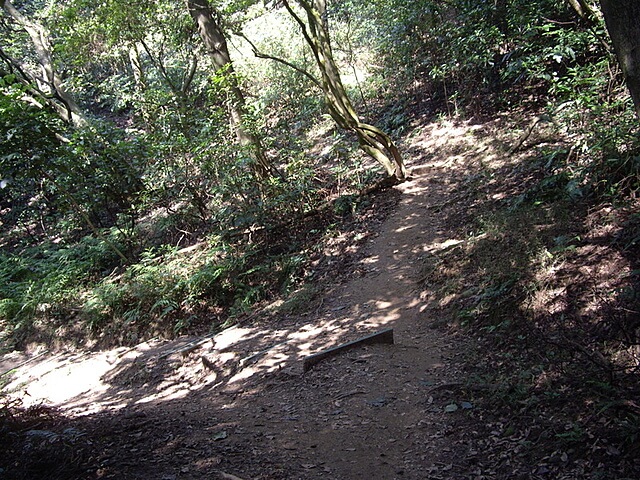 羊稠坑森林步道、拔崁腳山、尖山、羊稠坑山、土地公頭山