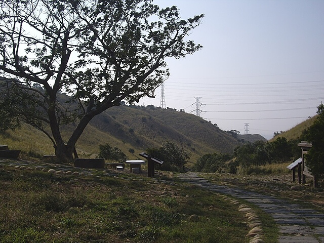 龍華樹休閒廣場