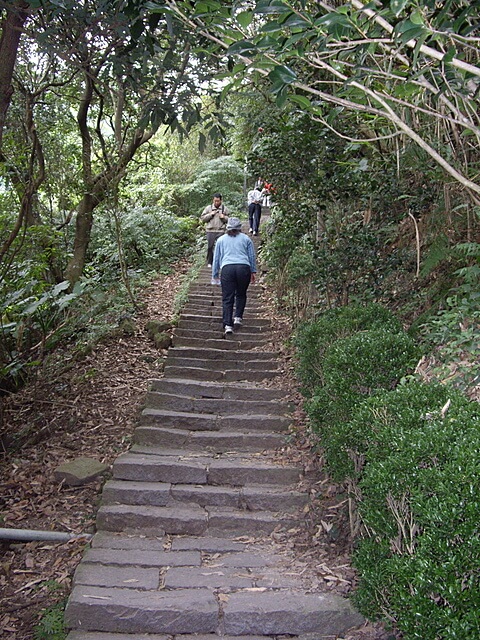 觀音山、占山、鷹仔尖