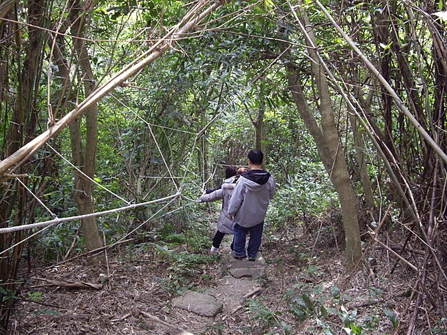 觀音山、占山、鷹仔尖