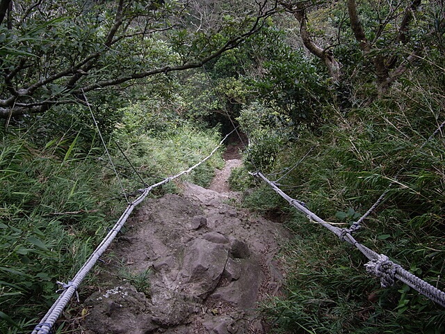 觀音山、占山、鷹仔尖