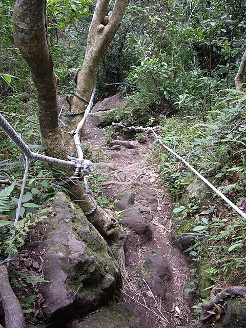 觀音山、占山、鷹仔尖