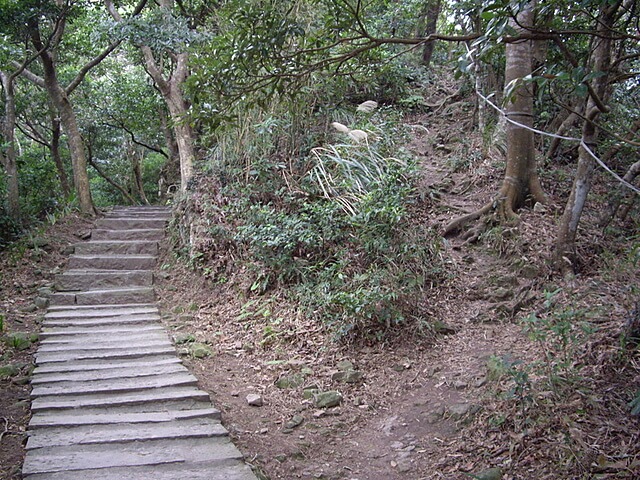 觀音山、占山、鷹仔尖