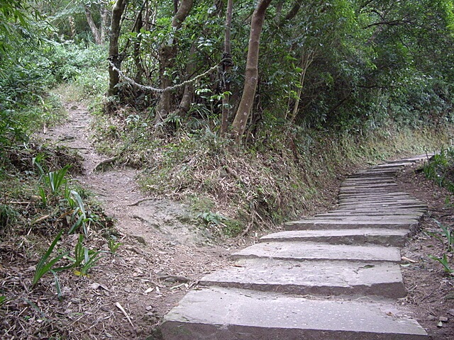 觀音山、占山、鷹仔尖