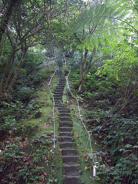 孝子山、慈母峰、普陀山、中央尖、臭頭山