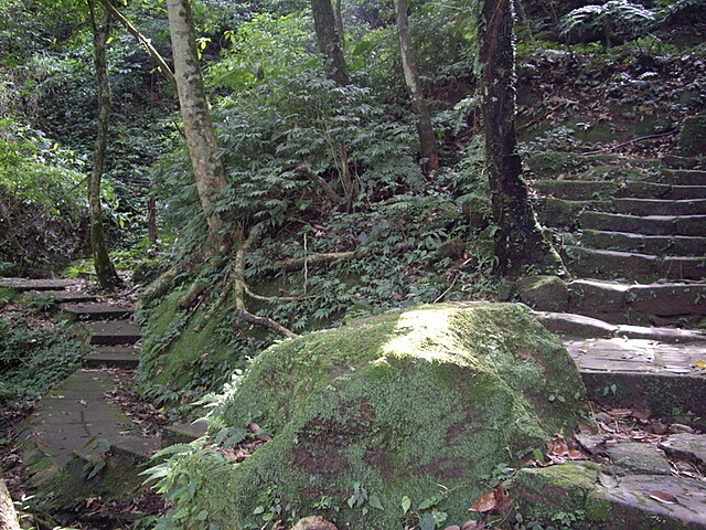 孝子山、慈母峰、普陀山、中央尖、臭頭山