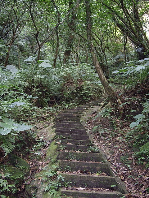 孝子山、慈母峰、普陀山、中央尖、臭頭山