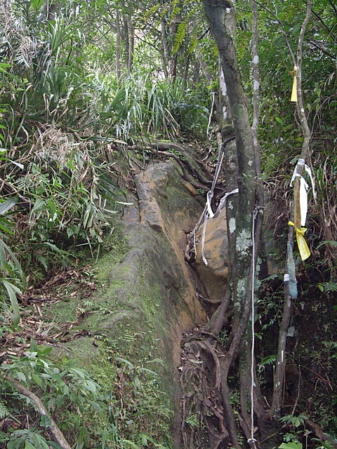 孝子山、慈母峰、普陀山、中央尖、臭頭山