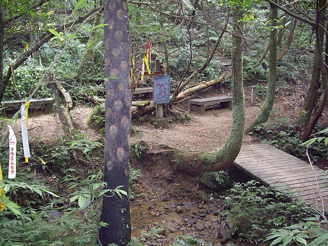 孝子山、慈母峰、普陀山、中央尖、臭頭山