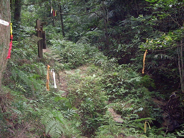 孝子山、慈母峰、普陀山、中央尖、臭頭山